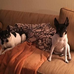 Meet your Posher, Regina